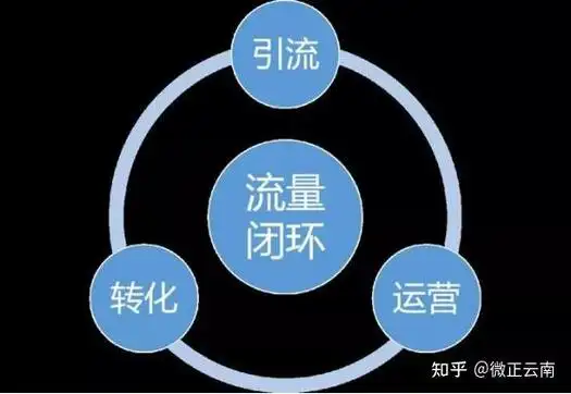 日照SEO服务如何驱动流量翻倍？哪些效果值得长期关注？