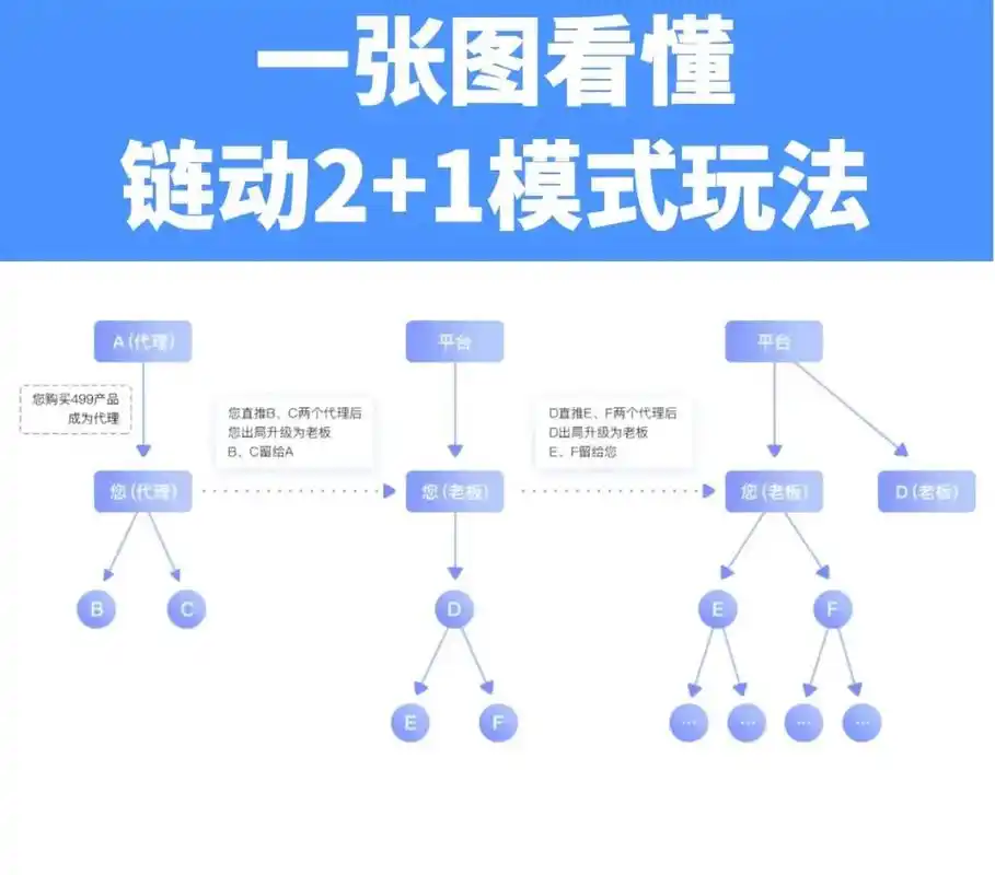 链轮模式SEO：如何激活站群流量循环？为何网状链接权重飙升？