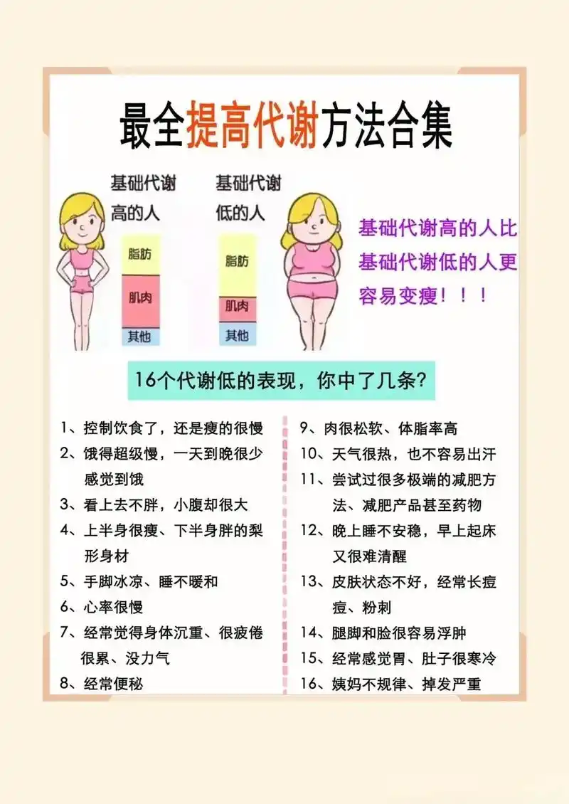瘦子SEO身材如何炼成？内容瘦身真能提升排名吗？