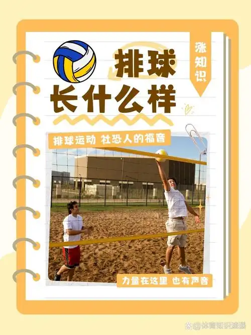 如何理解“SEO”在排球运动语境下的含义？