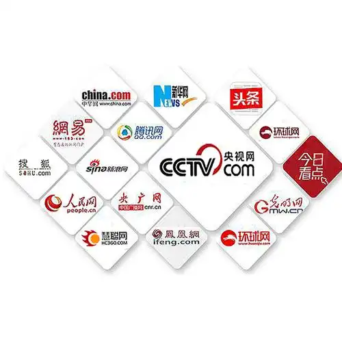 安徽SEO快速排名有哪些专业公司，如何判断他们是否靠谱？