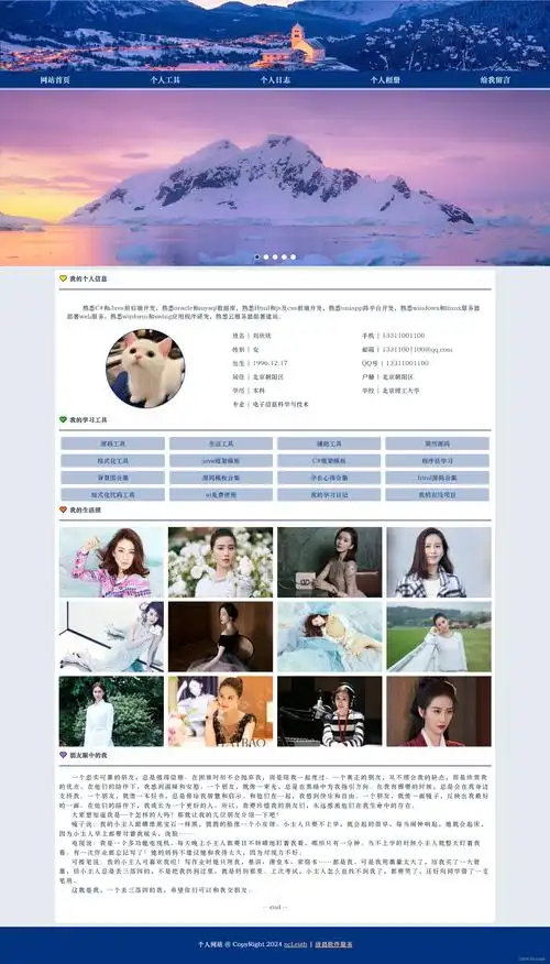 模板站做SEO真的有排名？搜索引擎会收录模板站内容？