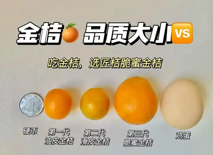 桔子SEO外链真的有效果吗？ 它和普通外链有啥区别？