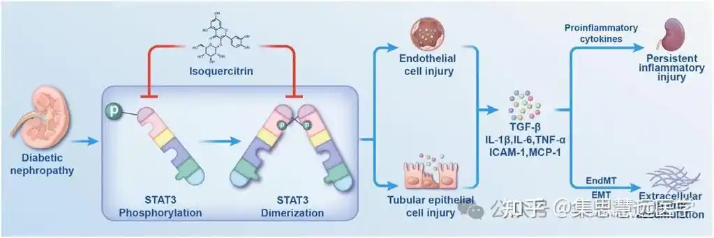 seO3O6能否打破传统结构？分子设计如何催生新材料革命？