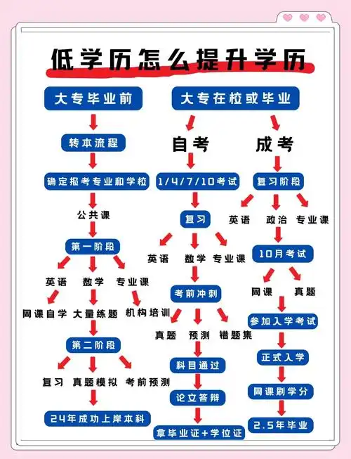 seo入门需要什么文化程度？ 学习路径与学历要求有哪些关联？