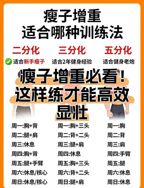 瘦子SEO的秘诀？如何用精炼内容实现高排名？